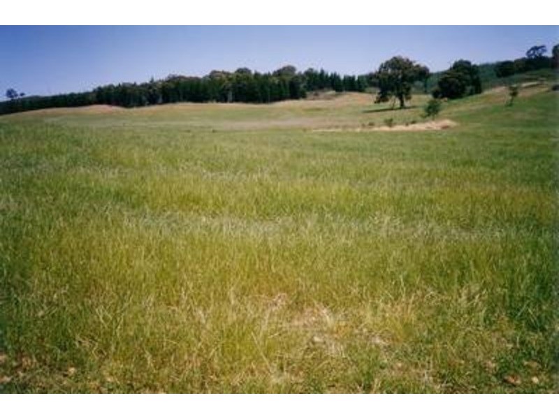 “Lucerne Park” Taylors Flat Road, Boorowa NSW 2586