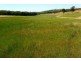 “Lucerne Park” Taylors Flat Road, Boorowa NSW 2586