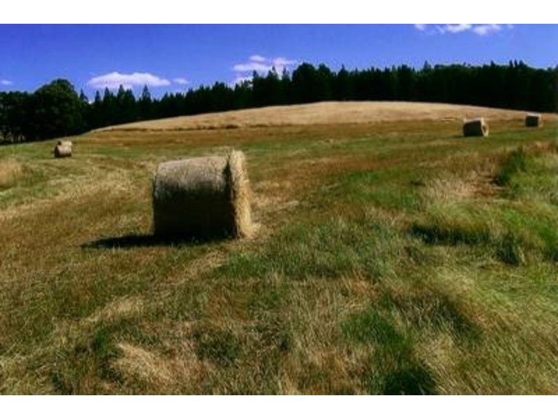 “Lucerne Park” Taylors Flat Road, Boorowa NSW 2586