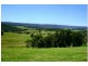 Lot 2 Wombeyan Caves Road, Taralga NSW 2580