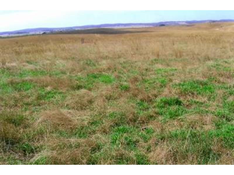 Lot 6 Windellama Road, Windellama NSW 2580