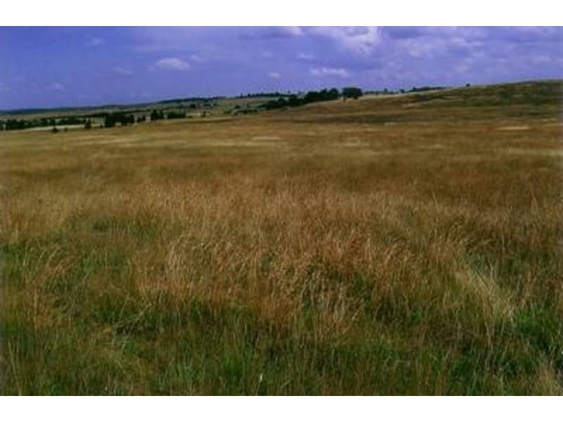 Lot 6 Windellama Road, Windellama NSW 2580