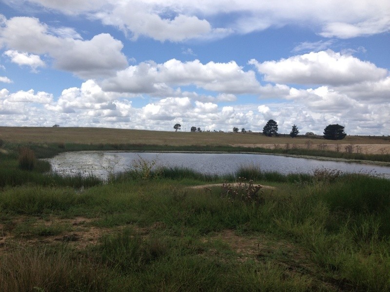 Lot 6 Windellama Road, Windellama NSW 2580