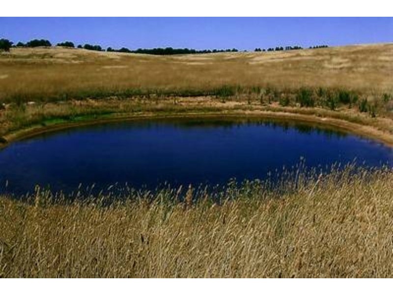 Lot 2 Windellama Road, Windellama NSW 2580