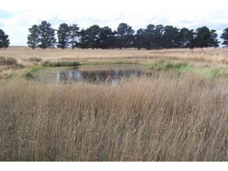 Lot 8 Windellama Road, Windellama NSW 2580