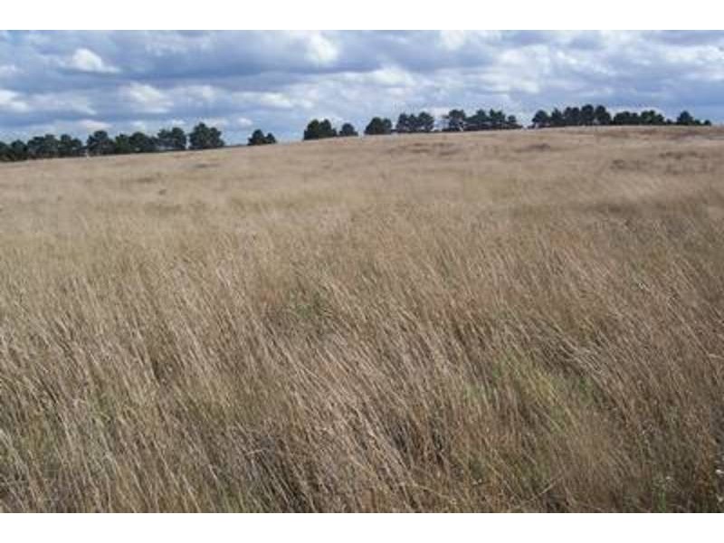 Lot 8 Windellama Road, Windellama NSW 2580