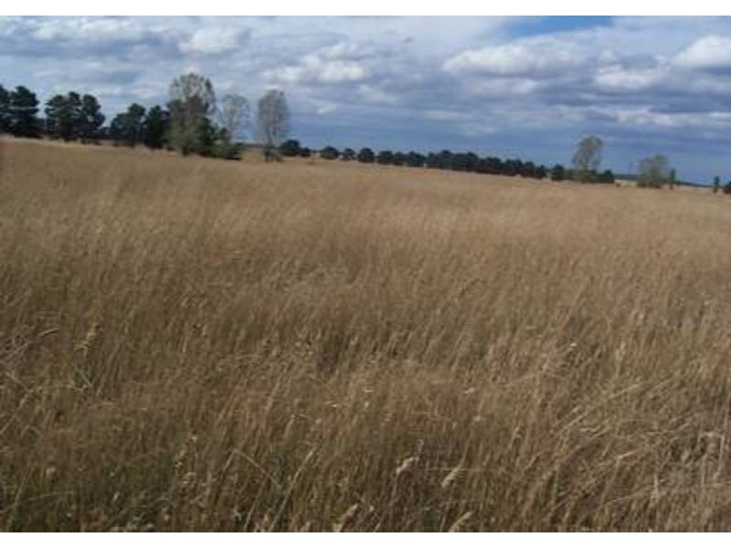 Lot 8 Windellama Road, Windellama NSW 2580