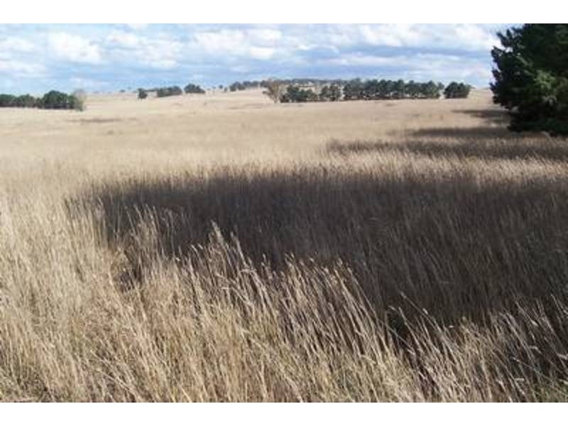 Lot 8 Windellama Road, Windellama NSW 2580