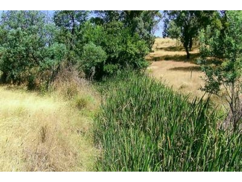 87, 128 & 96 Boorowa Road, Rugby NSW 2583