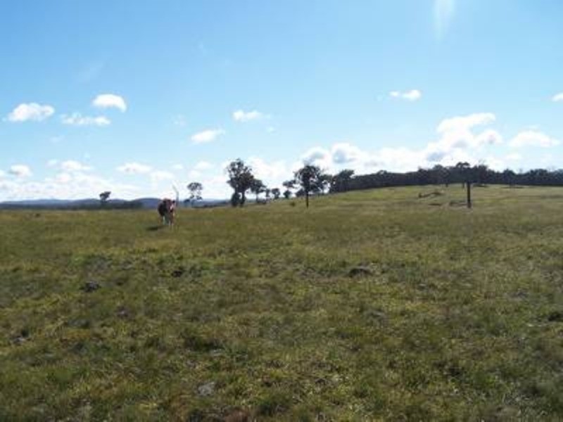 Lot 16 “Coolabah Park”, Bungonia NSW 2580