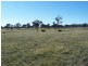 Lot 16 “Coolabah Park”, Bungonia NSW 2580