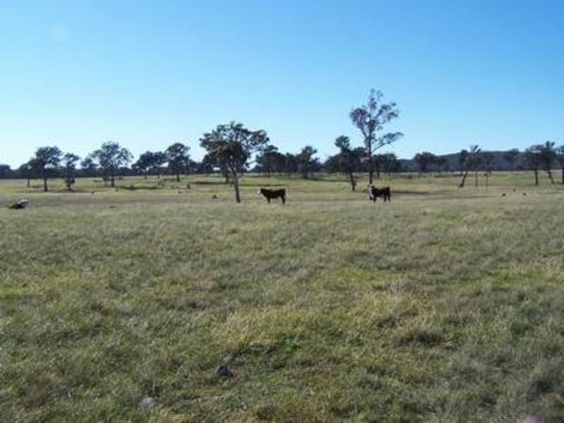 Lot 16 “Coolabah Park”, Bungonia NSW 2580