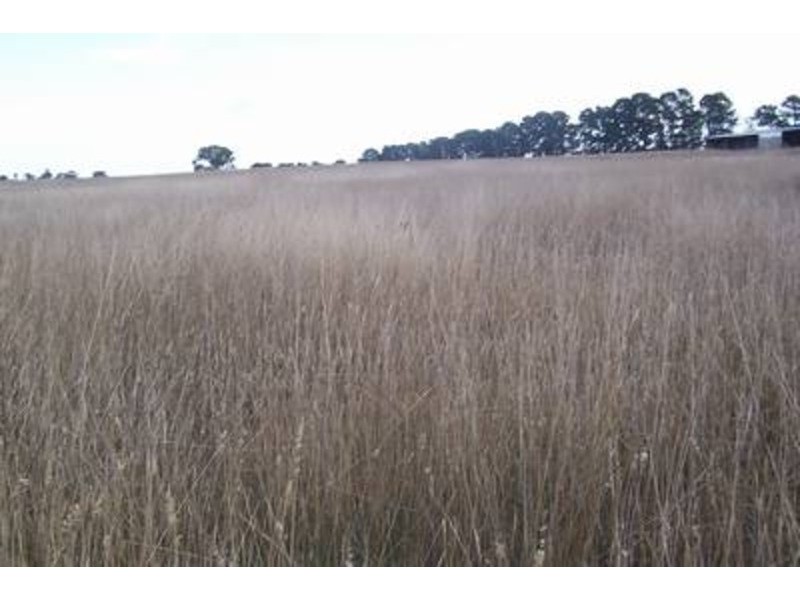 Lot 10 Eloura Road, Windellama NSW 2580