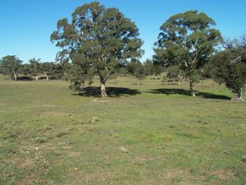 Lot 7 “Coolabah Park’, Bungonia NSW 2580