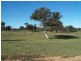 Lot 6 “Coolabah Park”, Bungonia NSW 2580