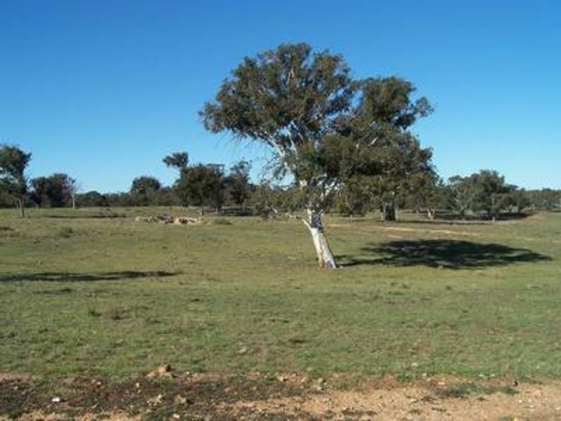 Lot 6 “Coolabah Park”, Bungonia NSW 2580