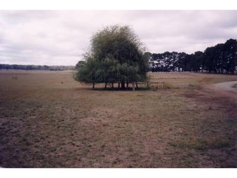 Lot 1 Coolabah Park, Bungonia NSW 2580