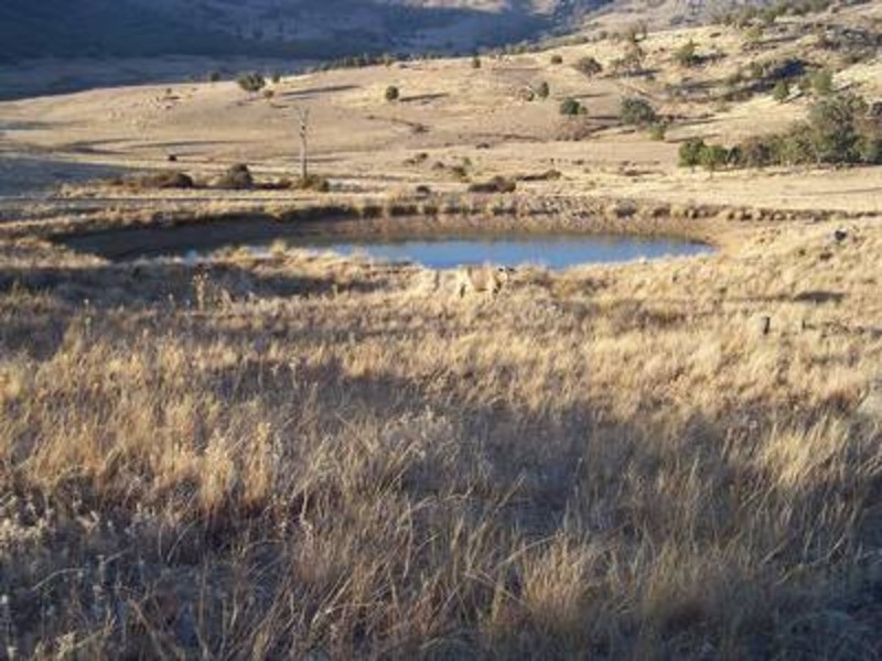 Lot 2 Foggs Crossing Road, Bigga NSW 2583