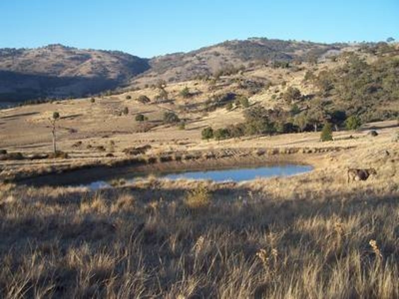 Lot 2 Foggs Crossing Road, Bigga NSW 2583