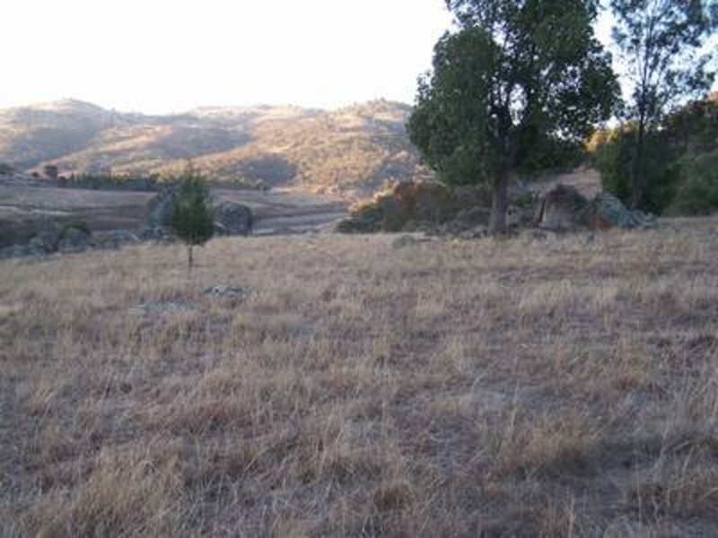 Lot 2 Foggs Crossing Road, Bigga NSW 2583