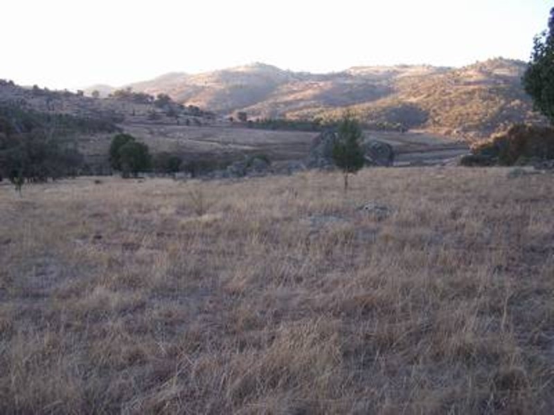 Lot 2 Foggs Crossing Road, Bigga NSW 2583