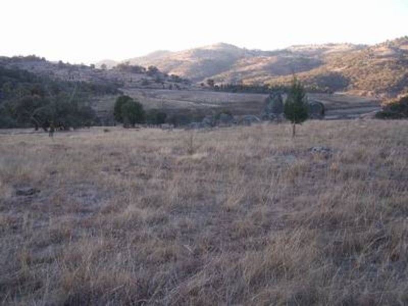 Lot 2 Foggs Crossing Road, Bigga NSW 2583