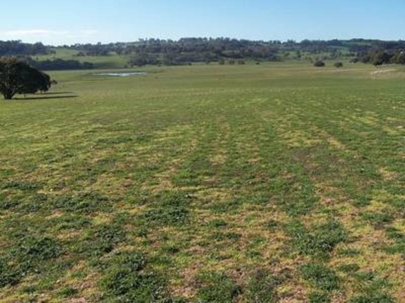 Lot 1 Kentgrove Road, Crookwell NSW 2583