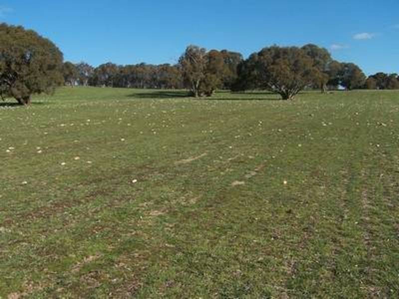 Lot 1 Kentgrove Road, Crookwell NSW 2583