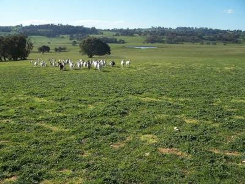 Lot 1 Kentgrove Road, Crookwell NSW 2583
