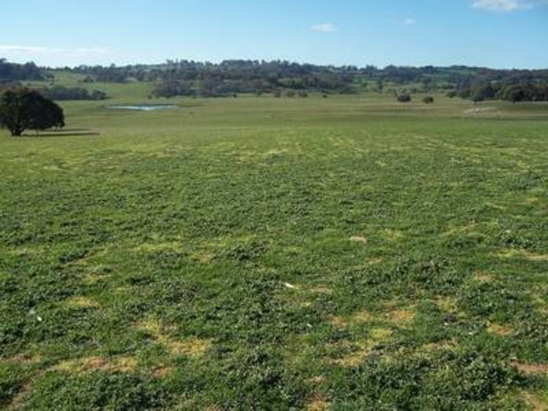 Lot 1 Kentgrove Road, Crookwell NSW 2583
