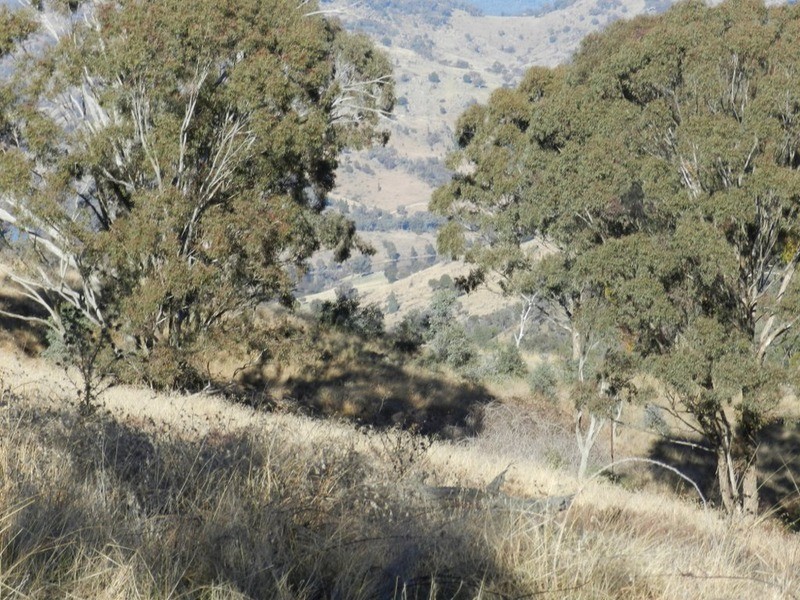 Lot 3 Decca Road, Bigga NSW 2583