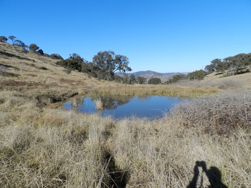 Lot 3 Decca Road, Bigga NSW 2583