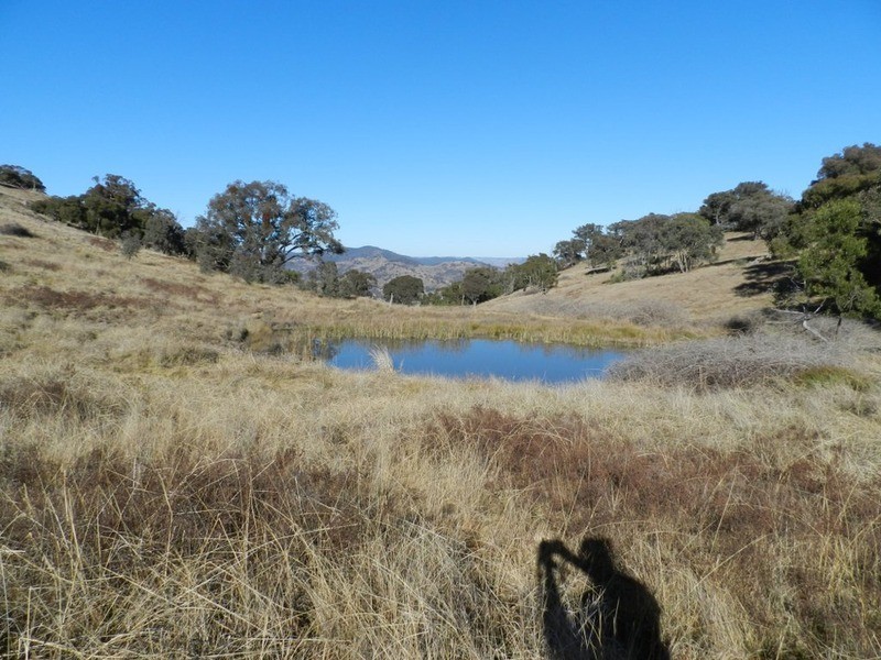 Lot 3 Decca Road, Bigga NSW 2583