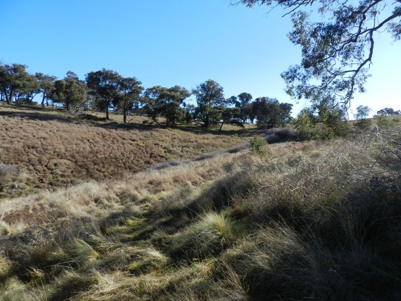 Lot 3 Decca Road, Bigga NSW 2583