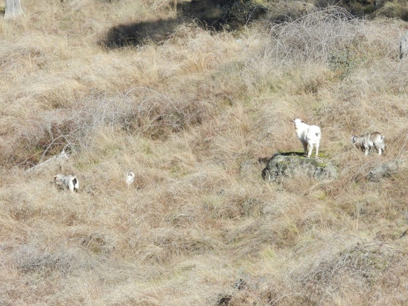 Lot 3 Decca Road, Bigga NSW 2583