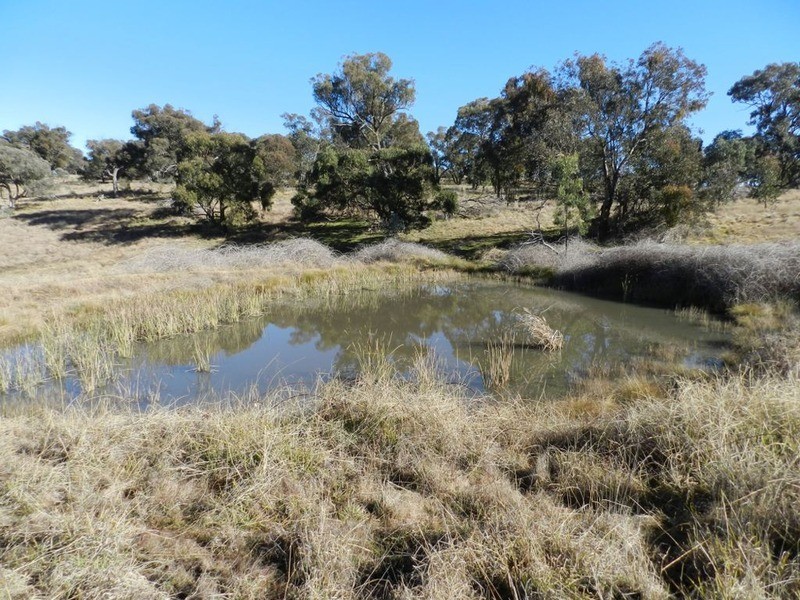 Lot 3 Decca Road, Bigga NSW 2583