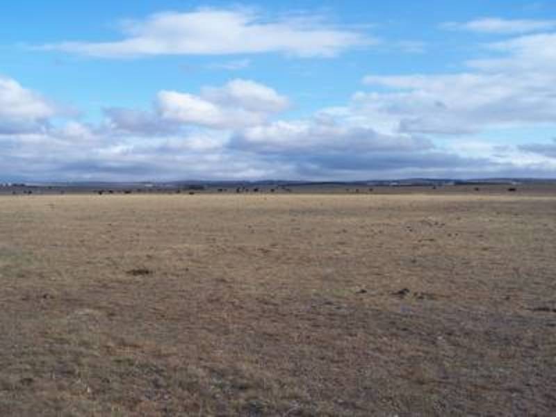 354 Painters Lane, Goulburn NSW 2580
