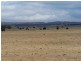 354 Painters Lane, Goulburn NSW 2580