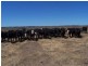 354 Painters Lane, Goulburn NSW 2580