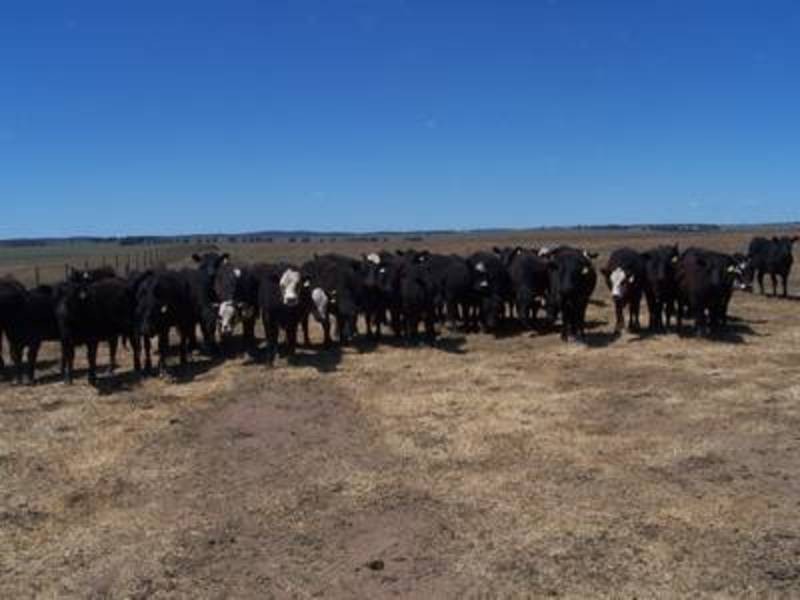 354 Painters Lane, Goulburn NSW 2580