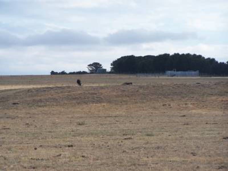 354 Painters Lane, Goulburn NSW 2580