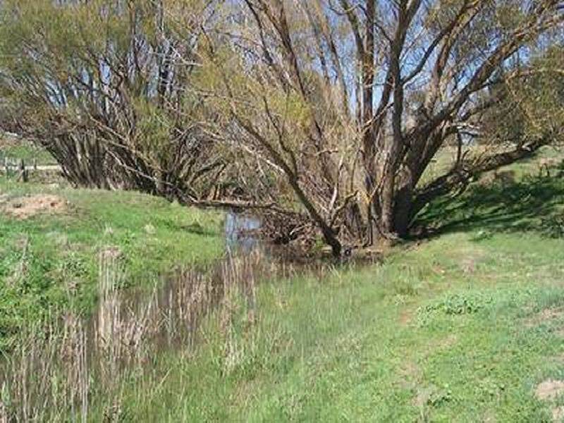 Middle Creek Pejar Road, Crookwell NSW 2583