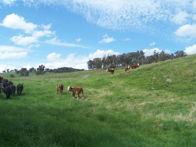 210 Pejar Road, Crookwell NSW 2583
