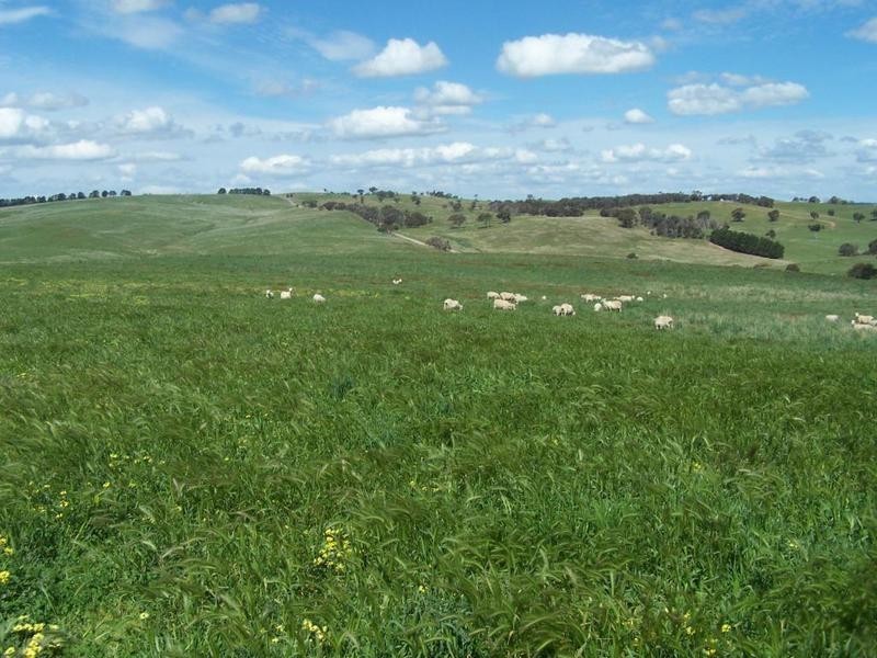 210 Pejar Road, Crookwell NSW 2583