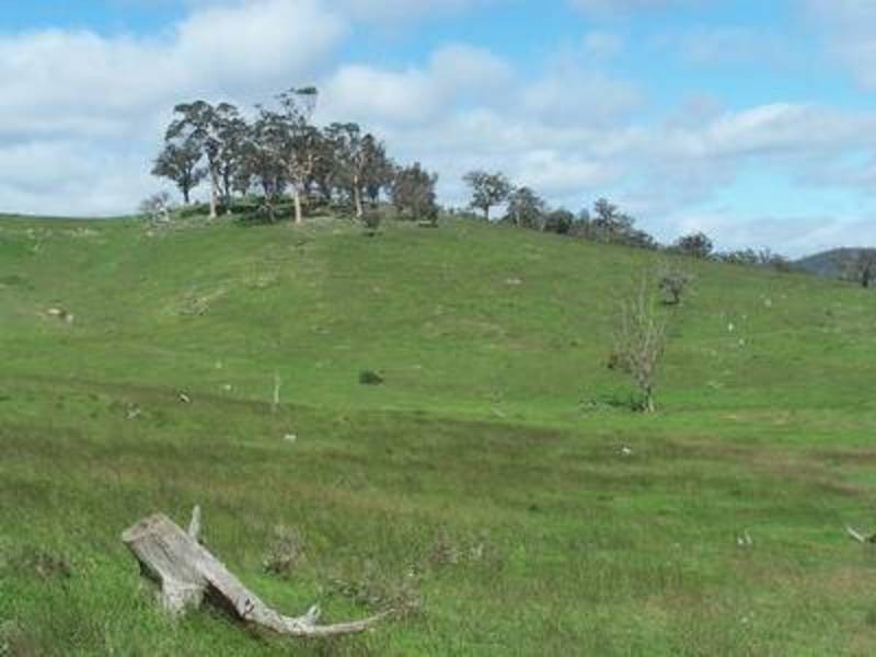 144 Longview Road, Marulan NSW 2579