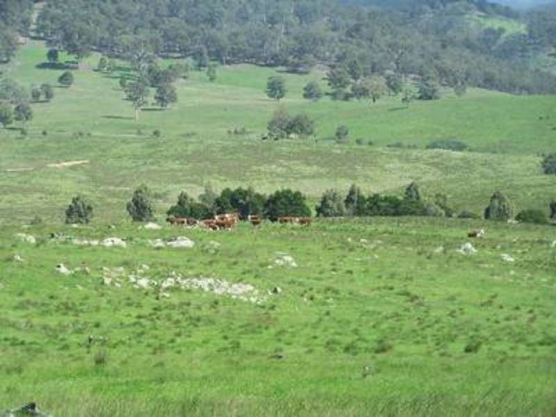 144 Longview Road, Marulan NSW 2579
