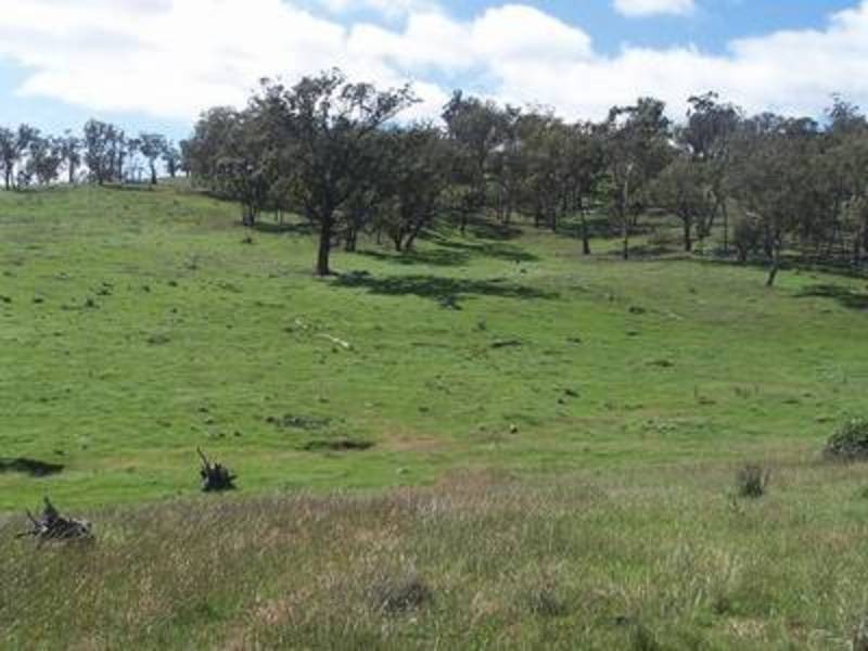 144 Longview Road, Marulan NSW 2579