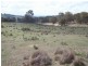 Lot 1 Off Peelwood Road, Laggan NSW 2583