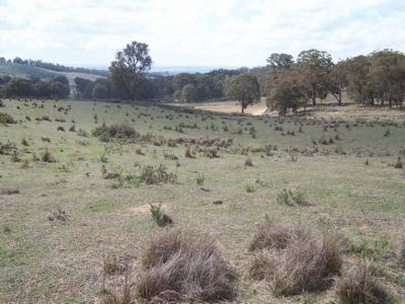 Lot 1 Off Peelwood Road, Laggan NSW 2583