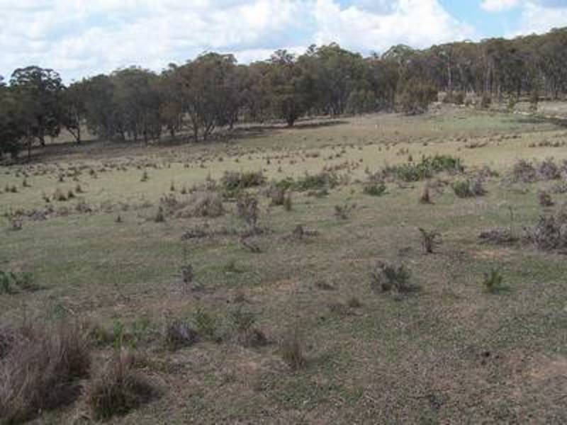 Lot 1 Off Peelwood Road, Laggan NSW 2583